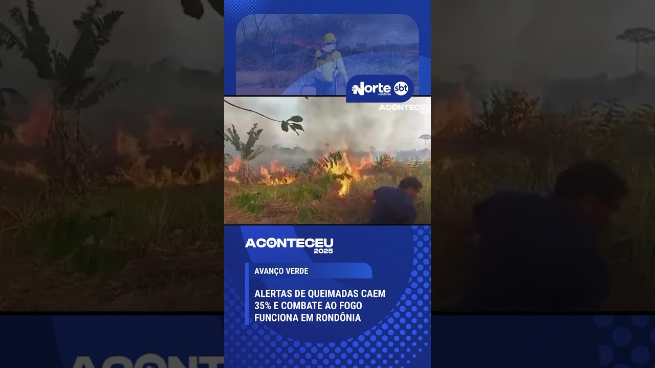 O ano termina com boas notícias para o meio ambiente em Rondônia.