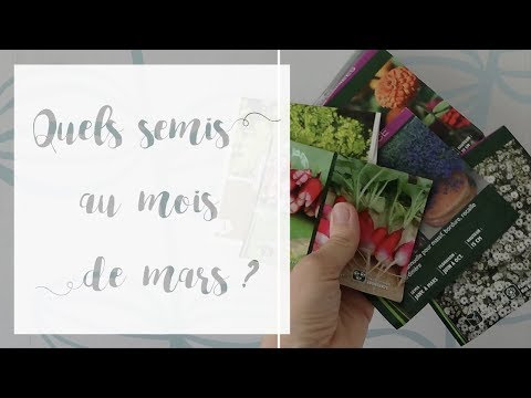 Vidéo: Mars : Que Semons-nous Pour Les Semis ?