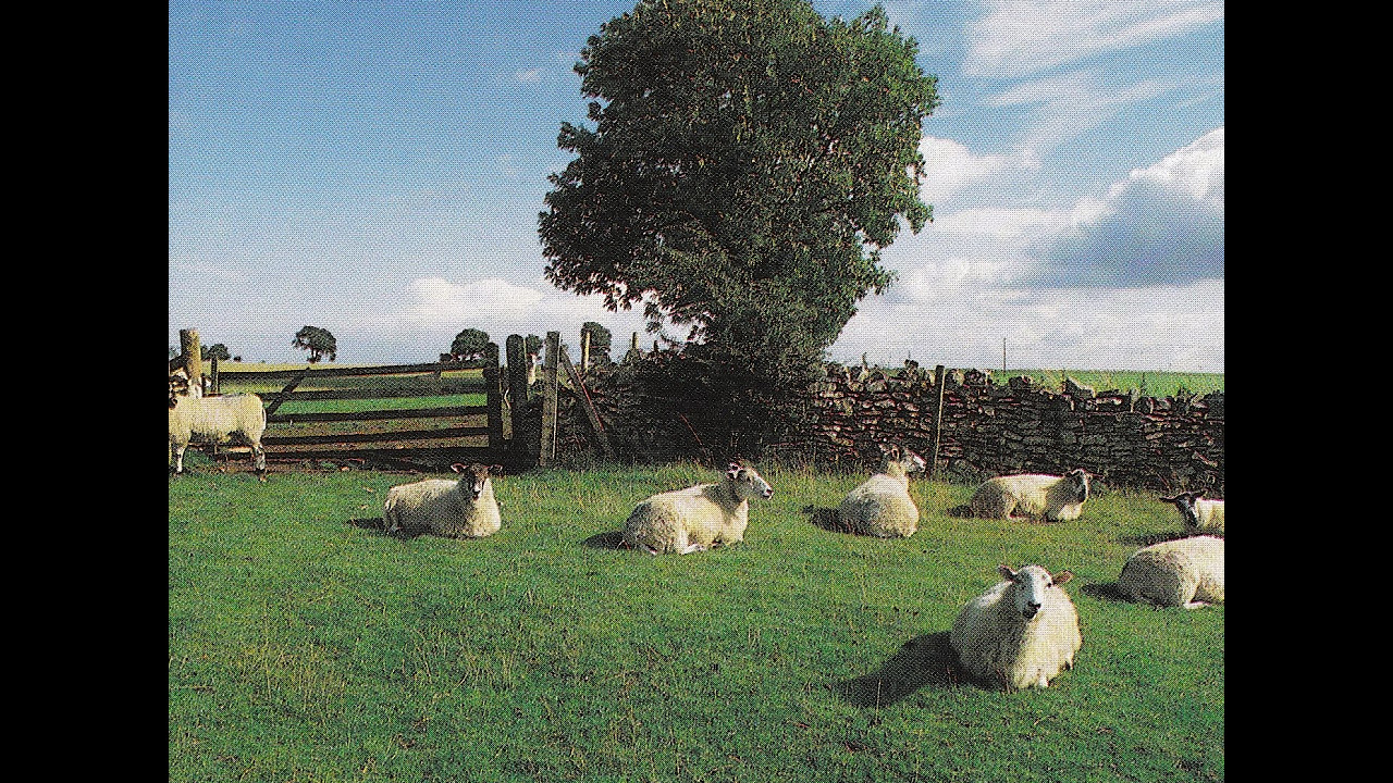 THE KLF     Chill Out   Full Album 