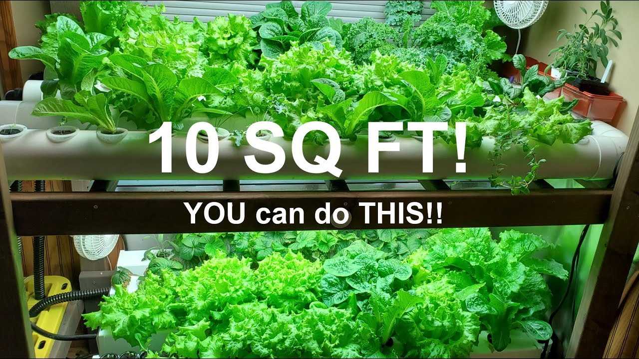 Home Hydroponic Farm: Hundreds of Pounds of Produce in 10 Sq Ft!