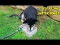 5 Self Refilling Water Bowl For Pets