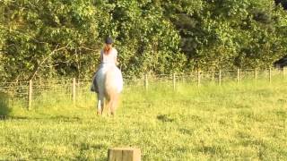 Bareback Raws!
