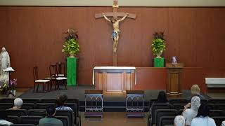 STM Livestream: 8AM Friday Mass