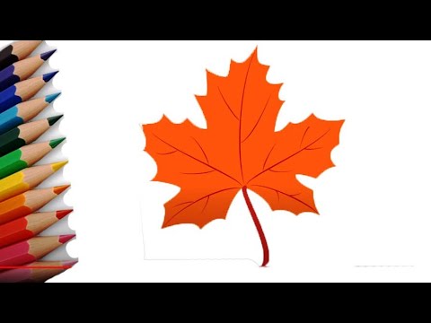 How to Draw a Simple Maple Leaf * Moms and Crafters