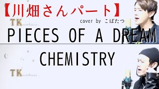 【サングラスかけてる方】PIECES OF A DREAM　 CHEMISTRY　cover　by　こばたつ