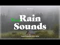 Forest rain sounds for relaxing sleep  nature sounds white noise