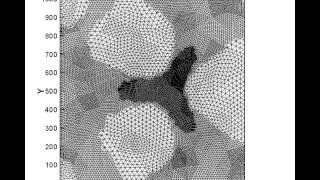 Morphodynamics by shallow water flows