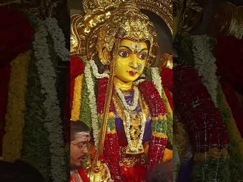 5 గంటలు అమ్మవారిని చూసే భాగ్యం దగ్గకింది 😊🙏