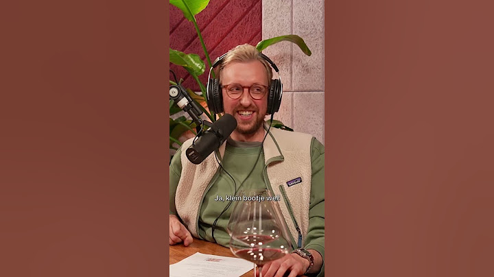 Wat zou je doen met een MILJOEN? - De Stijn, Tobi en Jeppe Show!