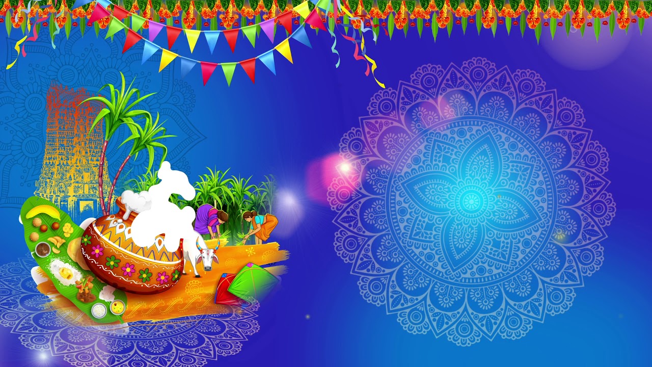 Festival Backgrounds, Pongal Backgrounds, Green Screen Sankranthi - YouTube