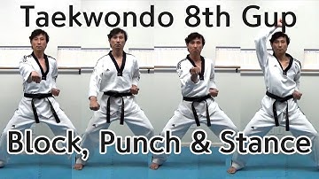🥋 Taekwondo 8th Gup Kibon (Basic Blocks and Punches) | TaekwonWoo
