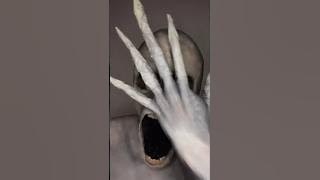 SCP 096 🫠