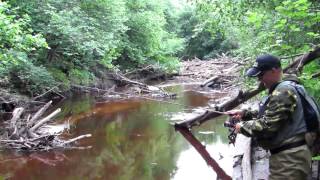 Ловля хариуса Латвия.