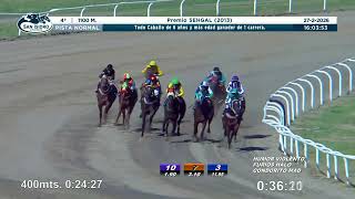 Vidéo de la course PMU PREMIO SEHGAL 2013