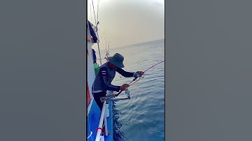 Câu cá biển kéo mệt nghỉ #ryoko #cauca #fishing