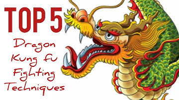 dragon kung fu 5 fighting techniques / grabbing , kicking , puncing , blocking , locking / 龙拳防身术