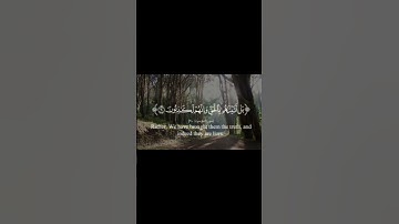 تلاوة من سورة المؤمنون من الآية 84 إلى الآية 92 بتلاوة #ياسر_الدوسري #♥♥♥🌚🌚🌚
