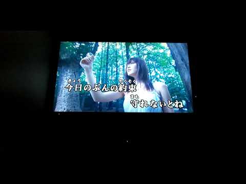 PROMISE  to  PROMISE    観月ありさ    歌ってみた