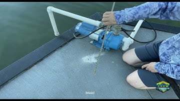 Hidden Erosion Behind a Seawall
