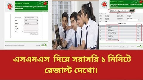 SMS মাধ্যমে HSC Result 2024 দেখুন কিভাবে SMS দিয়ে রেজাল্ট দেখবো। hsc 2024 sms result check