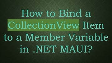 How to Bind a CollectionView Item to a Member Variable in .NET MAUI?
