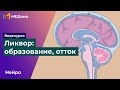 СПИННОМОЗГОВАЯ ЖИДКОСТЬ │ Образование ликвора, циркуляция и отток ликвора | USMLE step 1 | Медома