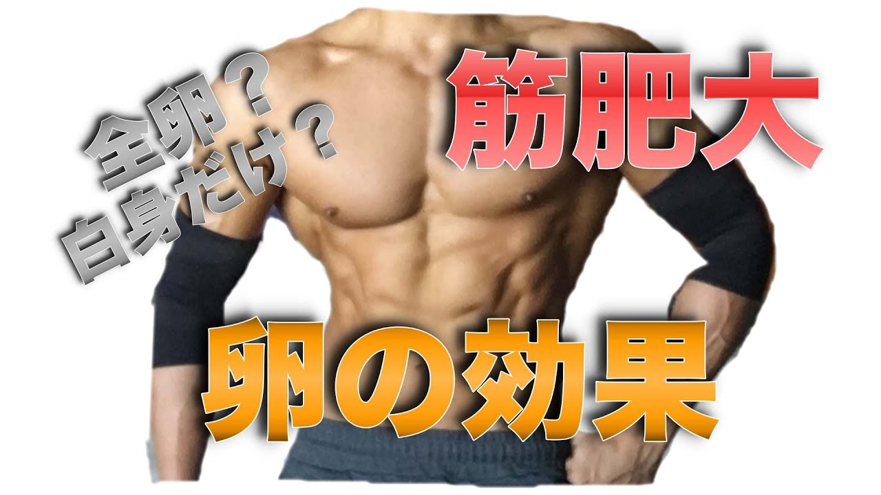 ゆで 卵 効果 男