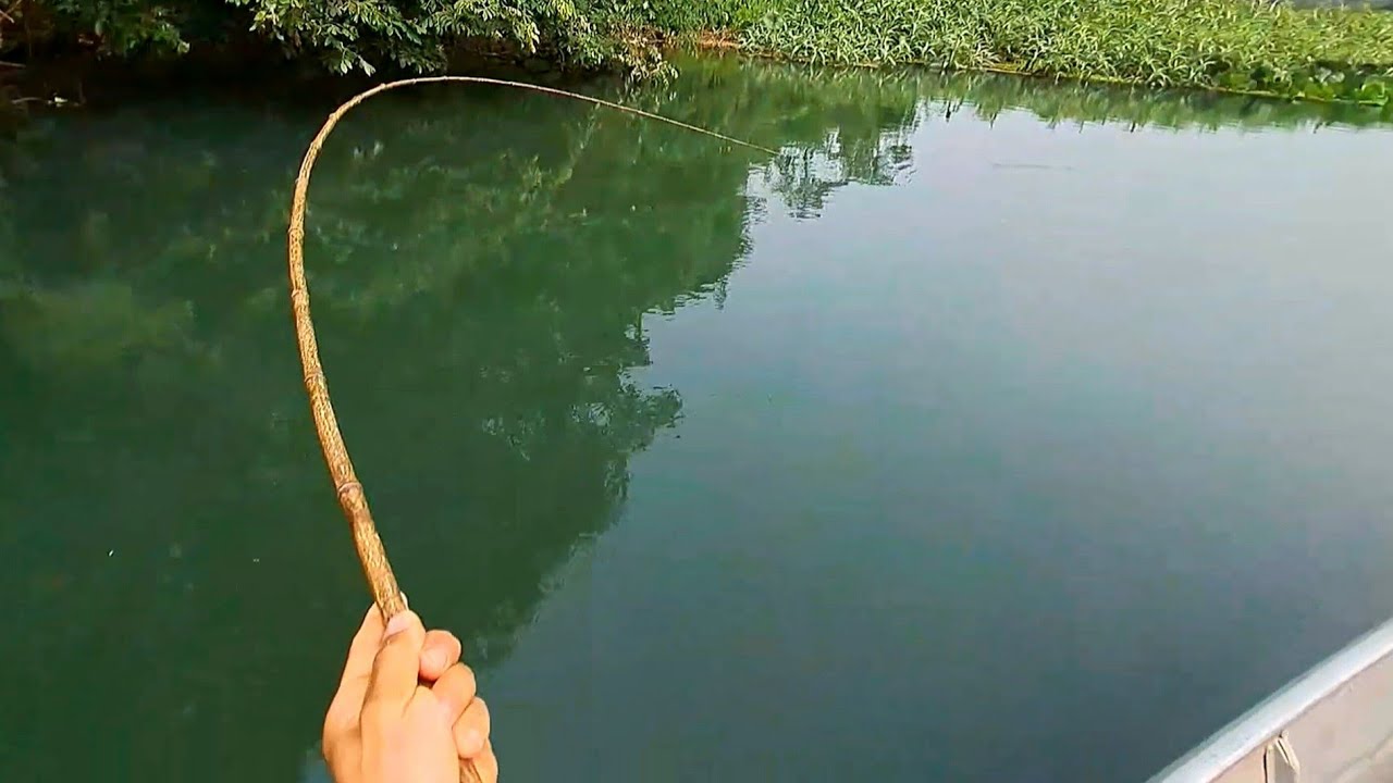 PESCAMOS ATÉ A NOITE E FIZEMOS PEIXE FRITO NA BEIRA DO RIO./ PESCARIA RAIZ COM VARA DE BAMBU.
