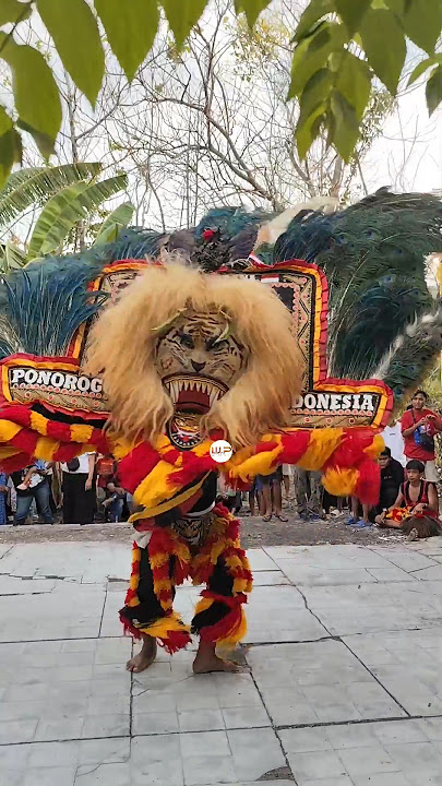 REOG PONOROGO KEREN 👍 #shorts #shortsfeed #viralshorts #reog