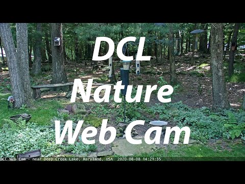 DCL Web Cam (08/10/2026)