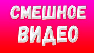 ОБЫЧНОЕ ВИДЕО // СМЕШНОЕ ВИДЕО // #2