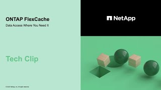 Famous ONTAP FlexCache Performance - Tech Clip Wealth