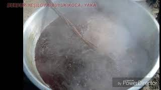 Yesilova Koca Yaka