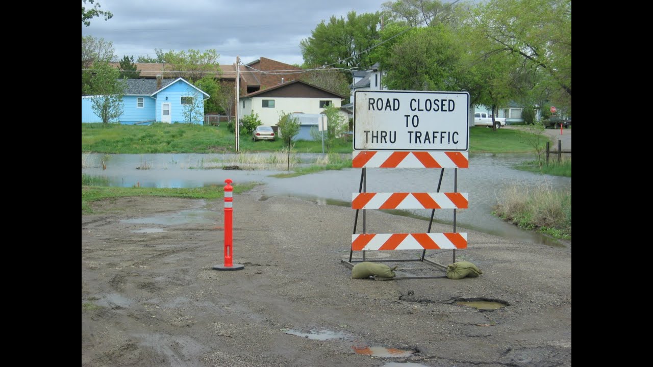 Slough Restoration Project 2024