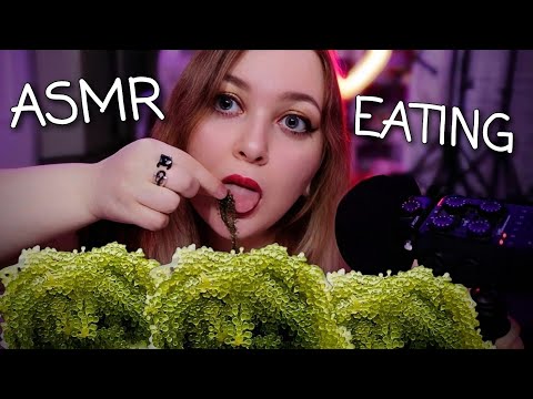 АСМР ЕМ МОРСКОЙ ВИНОГРАД 🤤 Расскажу как МНЕ ВТЮХАЛИ КРЕДИТКУ и РАЗВЕЛИ в БЕЛАРУСИ 😈 ASMR SEA GRAPES