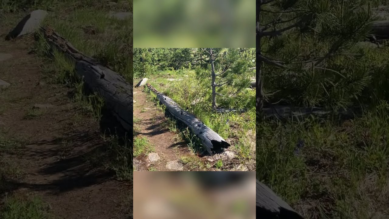 Divide Lake privy review