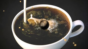 Animated Logo Pack| VideoHive Templates | After Effects Project Files