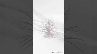 20 inch Grass Bush PVC Autumn Color