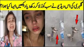 Most Viral Video of a Squirrel | ایک گلہری کی وڈیو ساری دنیا حیران کر گئی |Glahri pani mang rhi ha