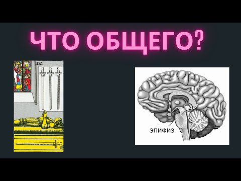 Четверка мечей Таро и шишковидная железа, ЧТО ОБЩЕГО? Обучение Таро