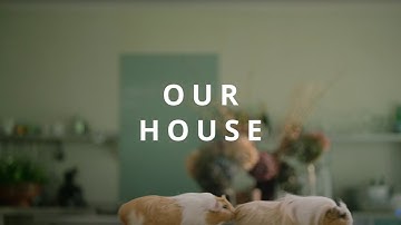 ‘I couldn’t be happier with the service’ - pooch from THS platform | TrustedHousesitters