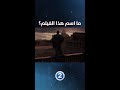 تابع هذه المشاهد لمعرفة اسم هذا الفيلم المشوق تابع هذه المشاهد لمعرفة اسم هذا الفيلم المشوق