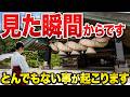 【消されたら2度と出てきません】もし最後まで見れたら億を掴めます。
