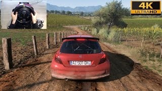 Peugeot 207 | Forza Horizon 5 | Thrustmaster TX Gameplay