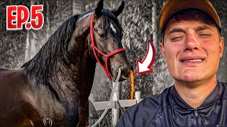 A DOENÇA que mais M@t@ CAVALO 😢 (Peão de Sorte Ep.5 )