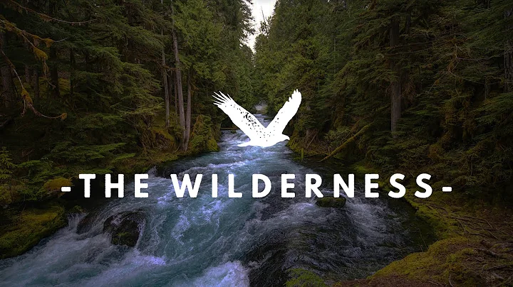 The Wilderness  |  June 14  |  Karl Burns