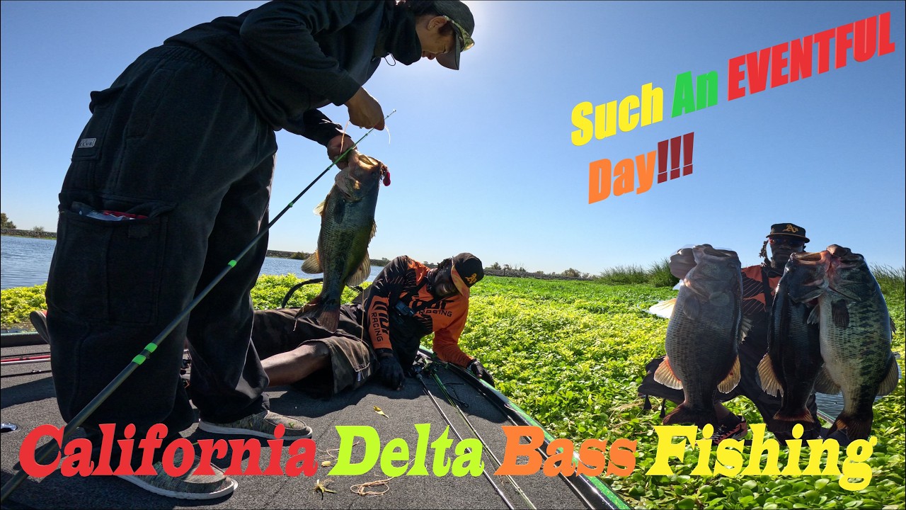 What An Eventful Day On the River | California Delta Bass Fishing…The Fun Never Stops