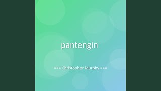 pantengin