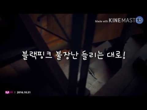 (첫 영상) 블랙핑크 불장난 들리는대로  ⚠억지 주의⚠