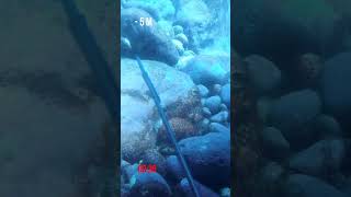 Лезу в тёмную пещеру за рыбой #spearfishing #подводнаяохота #fishing #рыбалка